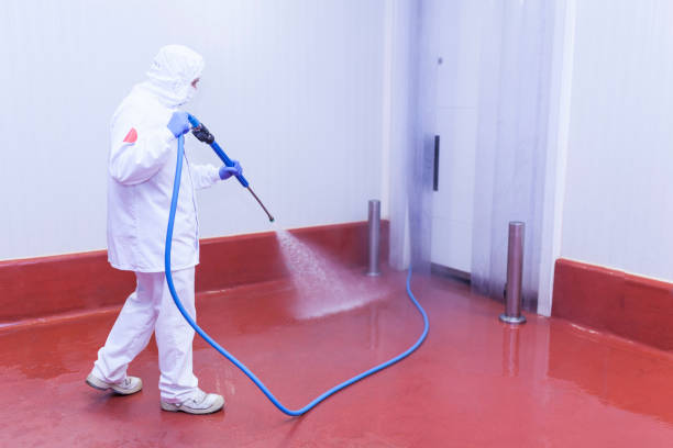 Best Driveway Cleaning and Restoration in West Fargo, ND